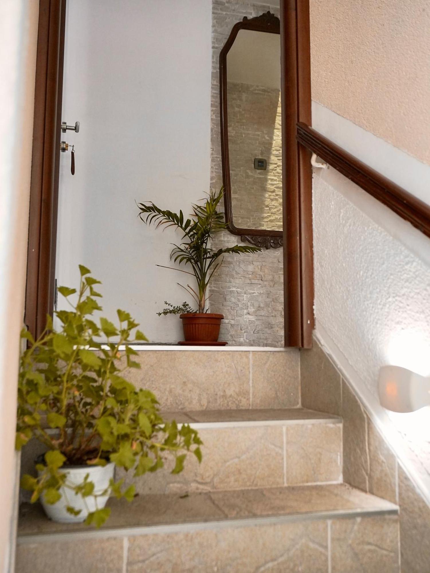 Novi Svet Apartment Kotor Ngoại thất bức ảnh